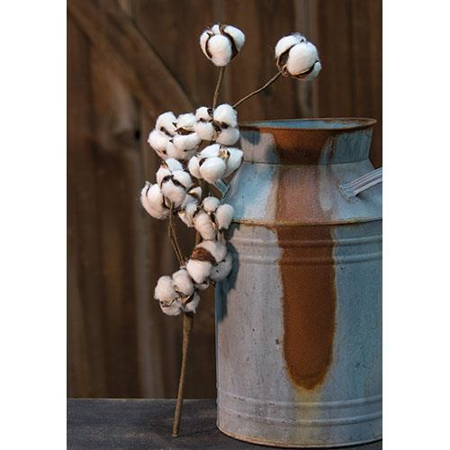 Cotton pick stems