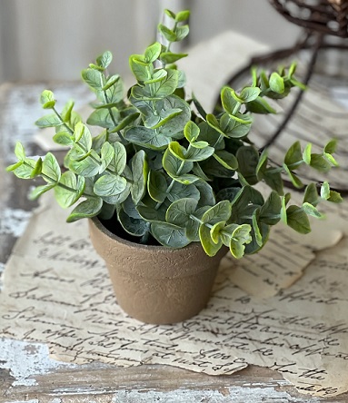 herb potted planter