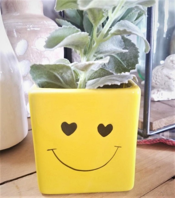 smile face yellow container