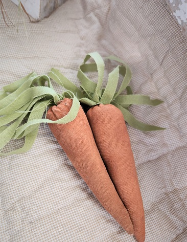 primitive fabric carrot