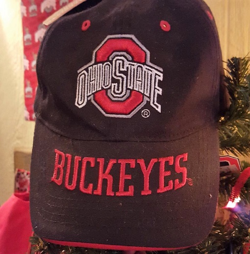 Ohio State Buckeyes Hat